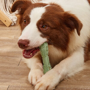 Dog Chew Toy - Teeth Cleaning & Dental Health - Image 2