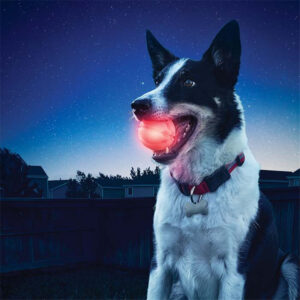 LED Glowing Dog Bite Ball