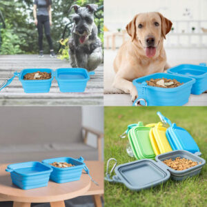 Collapsible Silicone Double Bowl for Cats & Dogs - Portable & Foldable