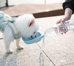 Water Bottle Cup Attachment for Cats and Dogs