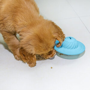 Treat-Dispensing Flying Disc Dog Toy - Image 2