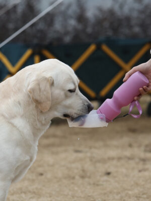 Portable Dog Water Bottle