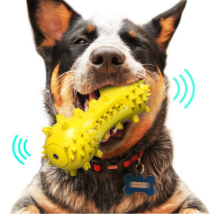 Vocal Dog Toothbrush Chew Toy