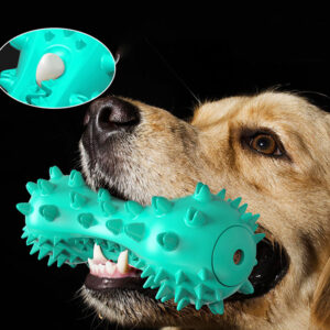 Vocal Dog Toothbrush Chew Toy - Image 2