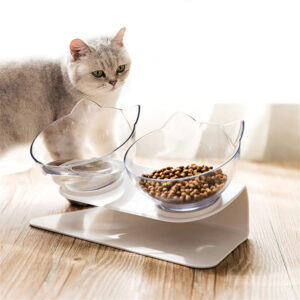 Non-Slip Double Cat Bowl with Raised Stand