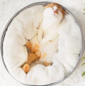 Cozy Round Detachable Cat Nest - Image 2