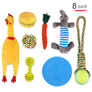 Interactive Molar Dog Toy Set