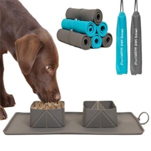 Portable Silicone Dog Bowls – Foldable and Travel-Friendly