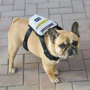 Wearable Dog Backpack – Adjustable, Lightweight & Dual-Pocket Design - Image 3