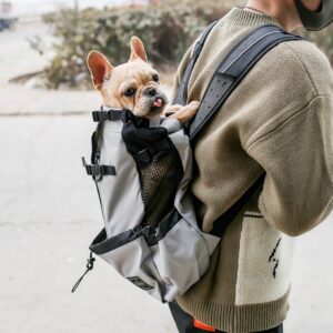 Dog Backpack – Comfortable & Hands-Free Carrying Solution