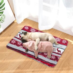 Double-Sided Christmas Pet Mat - Image 2