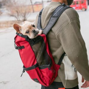 Dog Backpack – Comfortable & Hands-Free Carrying Solution - Image 2