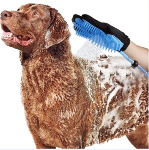 2-in-1 Pet Shower Head & Brush – Bathing Tool - Image 2