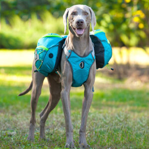 Wearable Dog Backpack – Large, Durable & Adventure-Ready