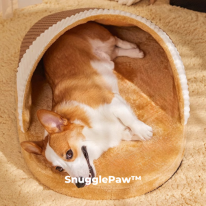 SnugglePaw – Where Slippers Meet Snuggles for Small to Medium Dogs - Image 2