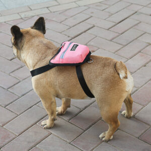 Wearable Dog Backpack – Adjustable, Lightweight & Dual-Pocket Design - Image 2