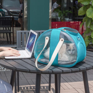 Stylish Dual-Sided Transparent Cat Shoulder & Handbag – Breathable & Comfortable - Image 3