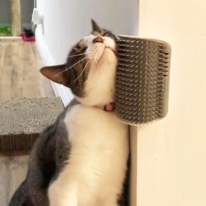 Cat Self-Grooming & Massage Brush – Shedding & Relaxation Tool