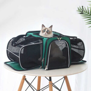 Expandable Pet Backpack – Durable & Large Capacity