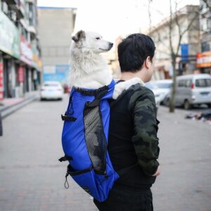 Dog Backpack – Comfortable & Hands-Free Carrying Solution - Image 3