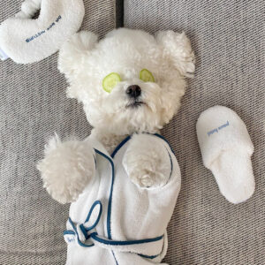 Luxury Hotel-Style Pet Bathrobe – Soft & Absorbent