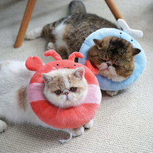 Cartoon Fun-Shaped Elizabethan Cat Collar – Soft & Protective