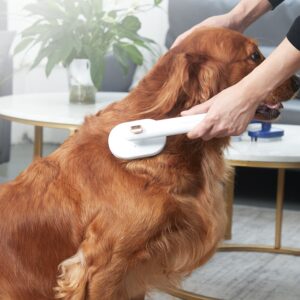 Elegant 360° Magic Brush – Pet Hair Removal & Massager - Image 2