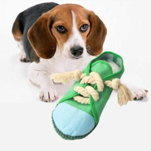 Human-Style Slipper Dog Toy with Rope – Fun Alternative to Real Slippers