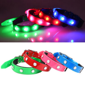 Rechargeable Luminous Waterproof Pet Collar – Adjustable for Cats & Dogs - Image 2