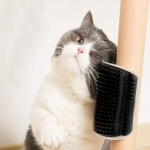 Cat Self-Grooming & Massage Brush – Shedding & Relaxation Tool - Image 2