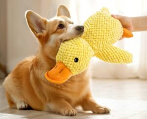 Plush Squeaky Duck Dog Toy