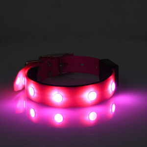 Rechargeable Luminous Waterproof Pet Collar – Adjustable for Cats & Dogs - Image 4