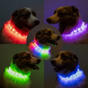 Rechargeable Luminous Waterproof Pet Collar – Adjustable for Cats & Dogs